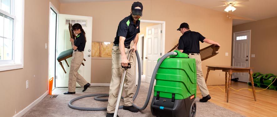New Tampa, FL cleaning services