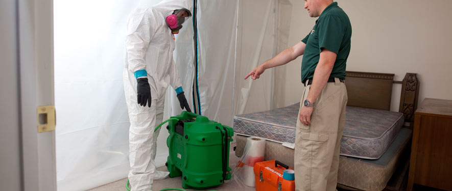 New Tampa, FL mold removal process
